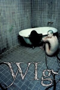 The Wig (2005) mmsub