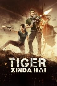 Tiger Zinda Hai (2017) mmsub