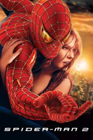 Spider-Man 2 (2004) mmsub