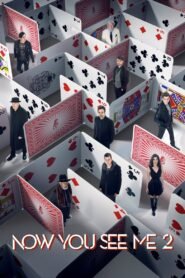 Now You See Me 2 (2016) mmsub