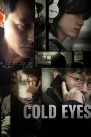 Cold Eyes (2013) mmsub