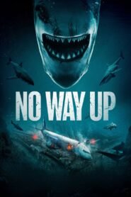 No Way Up (2024) mmsub