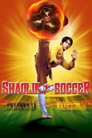 Shaolin Soccer (2001) mmsub