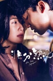 The Lady Improper (2019) mmsub