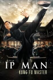 Ip Man: Kung Fu Master (2019) mmsub